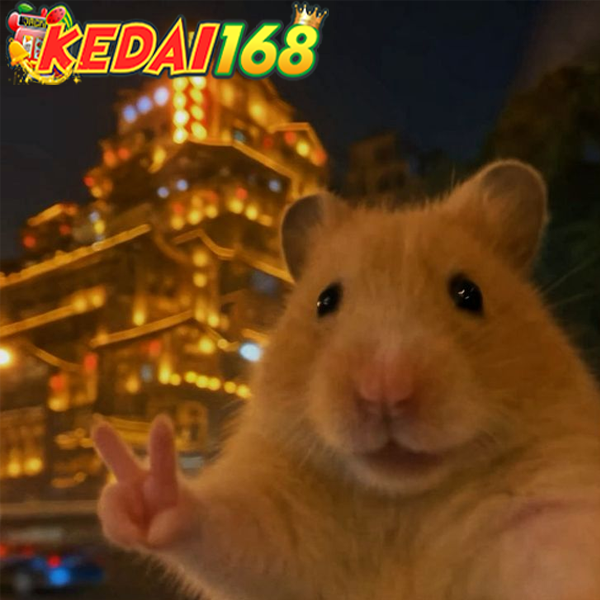 KEDAI168: Link Situs Slot Gacor maxwin Banjir Cuan & Slot777 Terpercaya Hari Ini